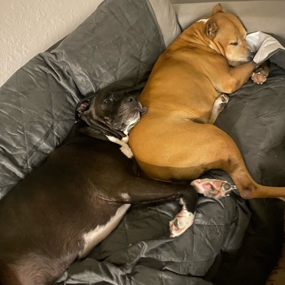 Meet your Poshers, Allie & Jordan - Picture 3 of 3